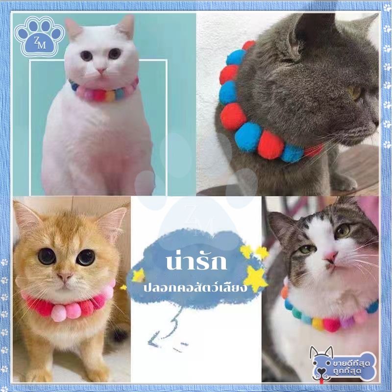 รูปภาพ 9