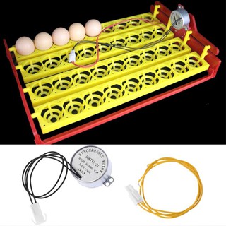 มอเตอร์ 220 v สําหรับฟักไข่นกอัตโนมัติ