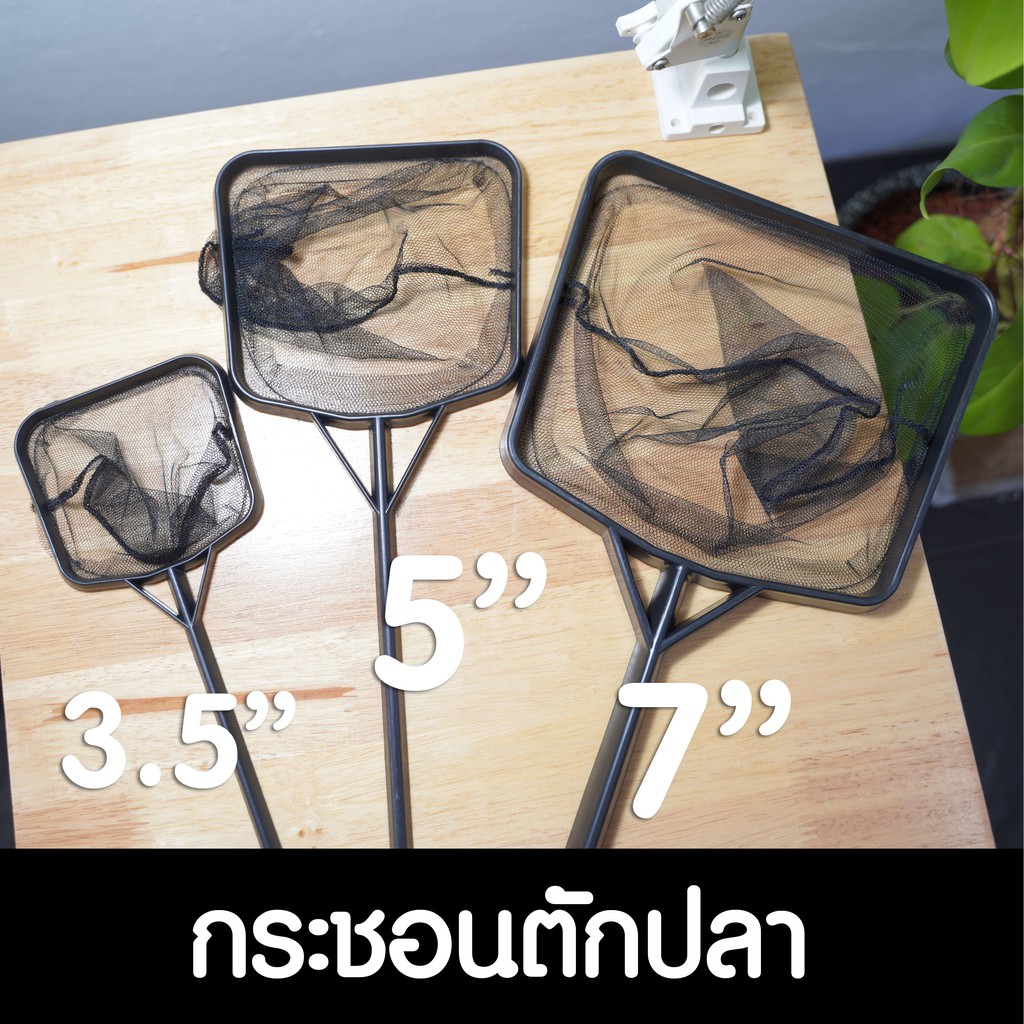 (พร้อมส่ง) กระชอนตักปลา ทรงสี่เหลี่ยม มีให้เลือก 3 ขนาด | Marangmod