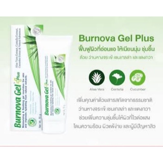 Burnova Gel Plus 25g เจลว่านหางจระเข้