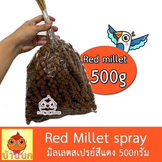 มิลเล็ตสเปรย์แดง ถุง 500กรัม (ครึ่งกิโล) มิลเล็ตสเปรย์ มิลเล็ตพวง red millet spray