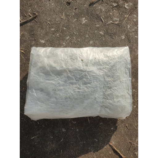 จำหน่ายแหนแดง Azolla spp.