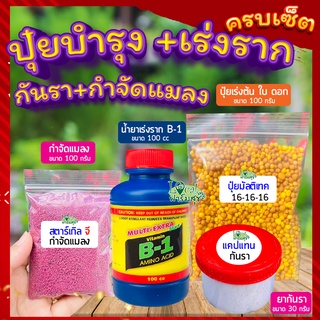 เซ็ตปุ๋ยบำรุง+เร่งราก+กันรา+กันแมลง 🍂 ปุ๋ยเร่งโต เร่งราก ป้องกันเชื้อราและโรคเน่า กันแมลงศัตรูพืช ปุ๋ยบอนสี ปุ๋ยกุหลาบ