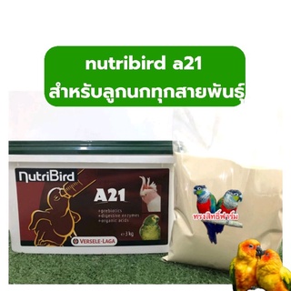 อาหารลูกนก nutribird A21 สำหรับลูกนกทุกสายพันธุ์ (200-500g)ฝาเขียว