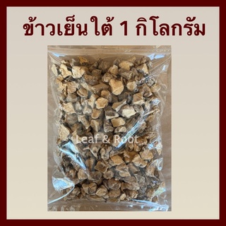 ข้าวเย็นขาว ข้าวเย็นใต้