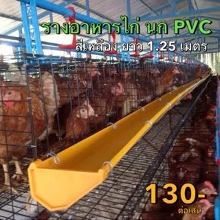 รางอาหารไก่ สีเหลือง 🐥 PVC ยาว 1.25เมตร คุณภาพดี สีไม่ซีด ไม่หักง่าย