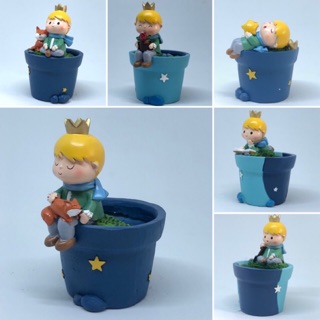 กระถาง เจ้าชายน้อย little princes pot plants