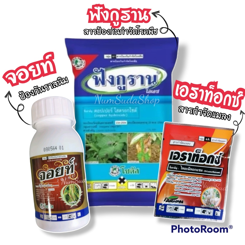 สารกำจัดกันแมลง ยาป้องกันเชื้อรา เอราทอกซ์กำจัดแมลง จอยท์ป้องกันเชื้อรา – โปรปัง