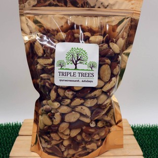 บลาซิลนัทอบธรรมชาติ Brazil Nut Roasted เกรด A จาก Triple Trees