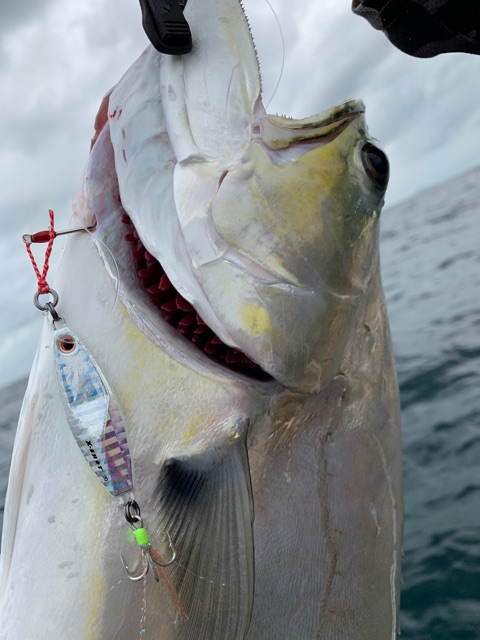 X-SHOT Micro slow Jig 20-60 กรัม HCDO