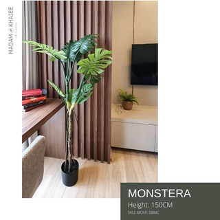 Mons tera tree ต้นมอนสเตร่า  ขนาดสูง 150 CM ต้นไม้ปลอมเกรดพรีเมี่ยม มาดามขจี  Premium Artificial Plant