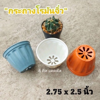 กระถาง โรมัน 3 นิ้ว (2.75นิ้ว) // กด 12 ใบ 30 บาท -- กระถางพลาสติก กระถางแคคตัส กระบองเพชร