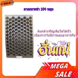 (พร้อมส่ง จากไทย) Tree’O ถาดเพาะชำ 104 หลุม พี่เพาะชำผัก ถาดเพาะกล้า ถาดเพาะต้นอ่อน รับประกัน 2 ปี