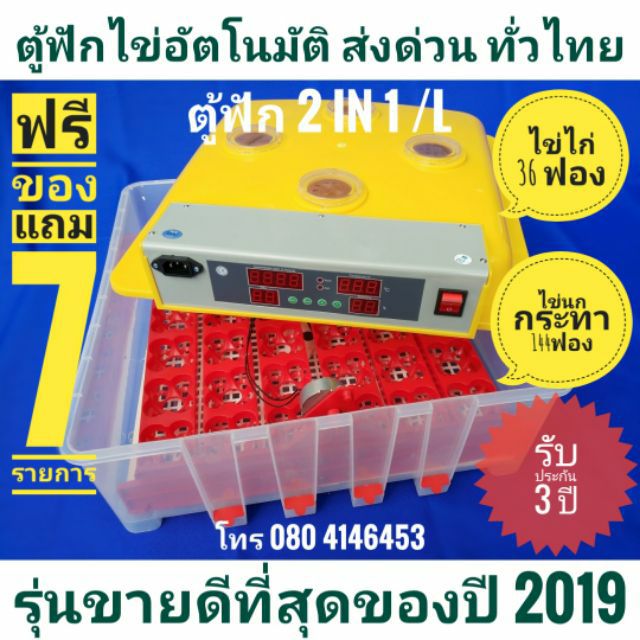 My Image 19