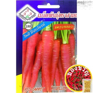 เมล็ดแครอทแดง (RED CARROT SEEDS)园艺/男装/内裤/鲜花/生菜/玫瑰/木瓜/seeds/裙子/香菜//เมล็ด RGBB