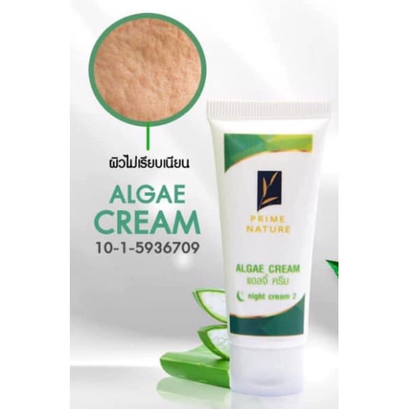 ALGAE  CREAM      #05