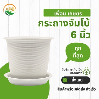 กระถางต้นไม้ กระถาง กระถางต้นไม้พลาสติก minimal กระถางจัมโบ้ Jumbo ขนาด 6 นิ้ว สีขาว