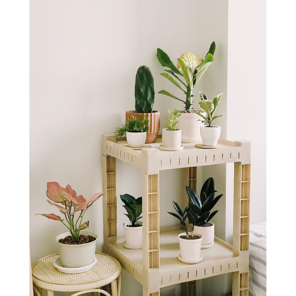 OTTO ชั้นวางต้นไม้ 3 ชั้น Woody Shelf ทรงจัตุรัส - รูปที่ 3