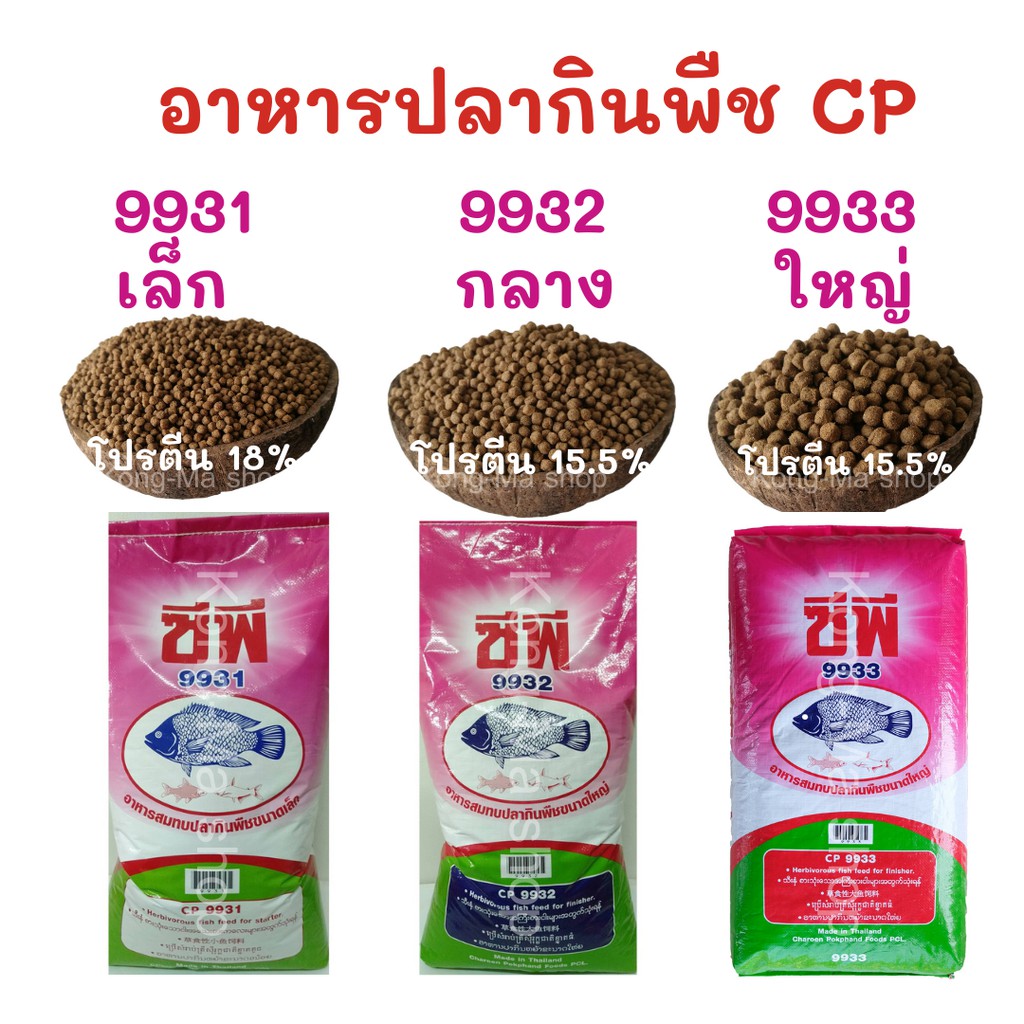 My Image 26