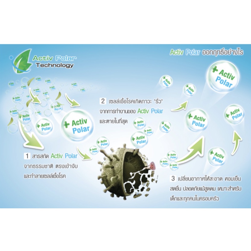 Polar Spray Eucalyptus Oil Plus (ขนาดใหญ่ 80/280ml) โพลาร์สเปรย์ ยูคาลิปตัสสเปรย์ สเปรย์ปรับอากาศ หอมสดชื่น เย็น - รูปที่ 2