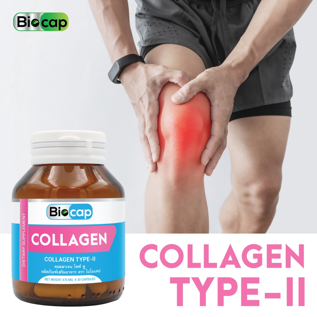 คอลลาเจน ไทพ์ ทู x 1 ขวด ไบโอแคป Collgen Type II Biocap ไทพ์2 ไทป์ทู Type2 คอลลาเจนไทพ์2