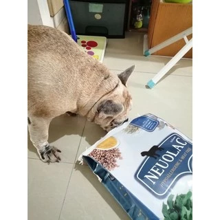 อาหารสุนัข สูตรโรคตับ ไต พร้อมบำรุงหัวใจ NEUOLAC 4Kg สำหรับสุนัขพันธุ์เล็ก-กลาง