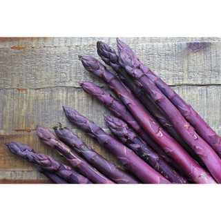 5 เมล็ด หน่อไม้ฝรั่งสีม่วง - Purple Passion Asparagus