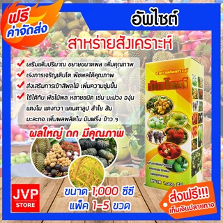 **ส่งฟรี**อัพไซด์ ขนาด 1,000 ซีซี สาหร่ายสังเคราะห์ ขยายขนาดผล เพิ่มน้ำหนัก เพิ่มผลผลิต เพิ่มคุณภาพ สีสด