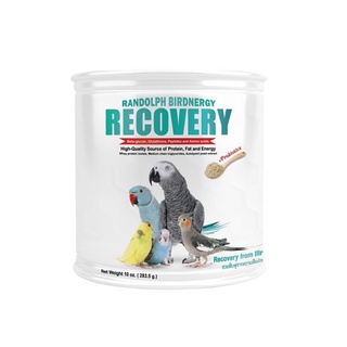 (แบ่งขาย) Randolph Birdnergy Recovery สูตรอาหารสำหรับนกป่วย ช่วยฟื้นฟู ขนาด70กรัม