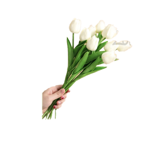 ดอกทิวลิป ดอกไม้ปลอม ดอกทิวลิปปลอม ดอกไม้ประดิษฐ์ พร๊อบถ่ายรูป พรอพถ่ายรูปสินค้า ดอกไม้เกาหลี ตกแต่ง