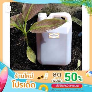 น้ำหมักมูลไส้เดือน สูตรเข้มข้น ขนาด 5 ลิตร ไม่มีกลิ่นเหม็น