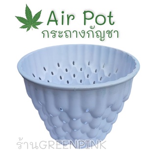 Air pot กระถางกัญชา สีขาว แอร์พอท กระถางขาว กระถางปลูกกัญชา กระถางมีรูระบาย รูระบายอากาศ เร่งราก เพิ่มออกซิเจน