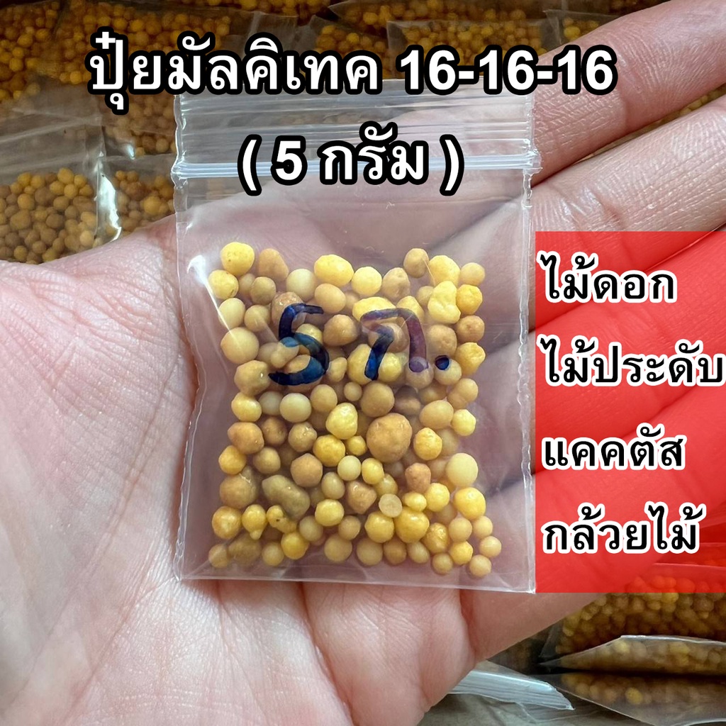 ปุ๋ยละลายช้า มัลติเทค สูตรเสมอ 16-16-16 (แบ่งบรรจุ) ปุ๋ยไม้ฟอกอากาศ ปุ๋ยแคคตัส ปุ๋ยออสโมโค้ท - รูปที่ 2