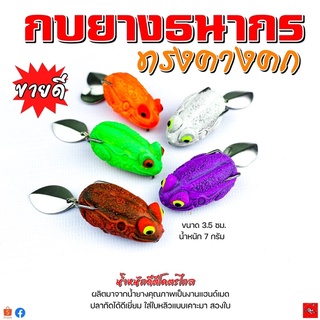 กบยางธนากร ทรงรุ่นคางคก