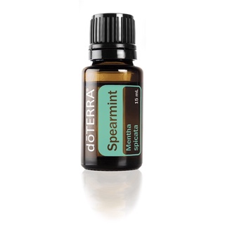 Spearmint Oil 15ml. Mentha spicata