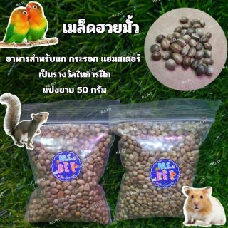 เมล็ดฮวยมั้ว อาหารสำหรับนก กระรอก แฮมสเตอร์ โปรตีนสูง เหมาะส…