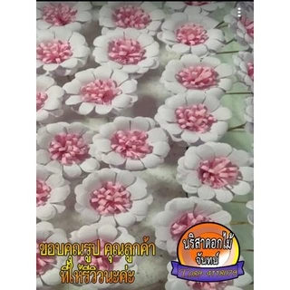 ไส้ฝอย สีเข้ม กระดาษทำดอกไม้จันทน์ 80 แกรม