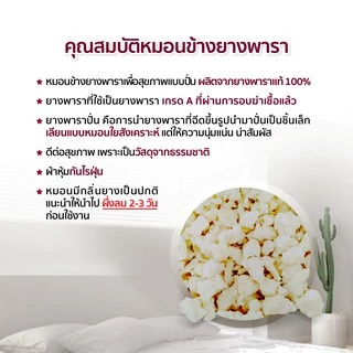 [HOT DEAL] หมอนข้างยางพาราเพื่อสุขภาพ แท้100%แบบปั่น หนัก3Kgs.(ยางอบฆ่าเชื้อ)
