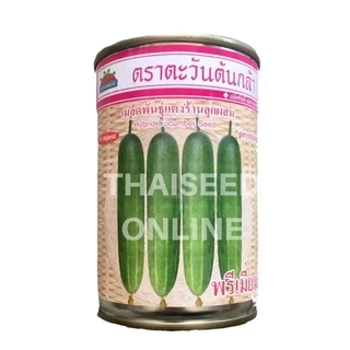 ADV โฉมใหม่ 100กรัม เมล็ดพันธุ์ แตงร้านพรีเมี่ยม 100 กรัม ตราตะวันต้นกล้า Cucumber F1