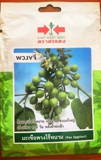 เมล็ดผักศรแดง เจียไต๋ ตะวันต้นกล้าชุดที่3 🌶🍆🍅เมล็ดพริกมะเขือ🌶🍅🍆 พริกขี้หนู พริกยอดสน พริกชี้ฟ้า พริ พริกหนุ่ม ซอง 10 บาท