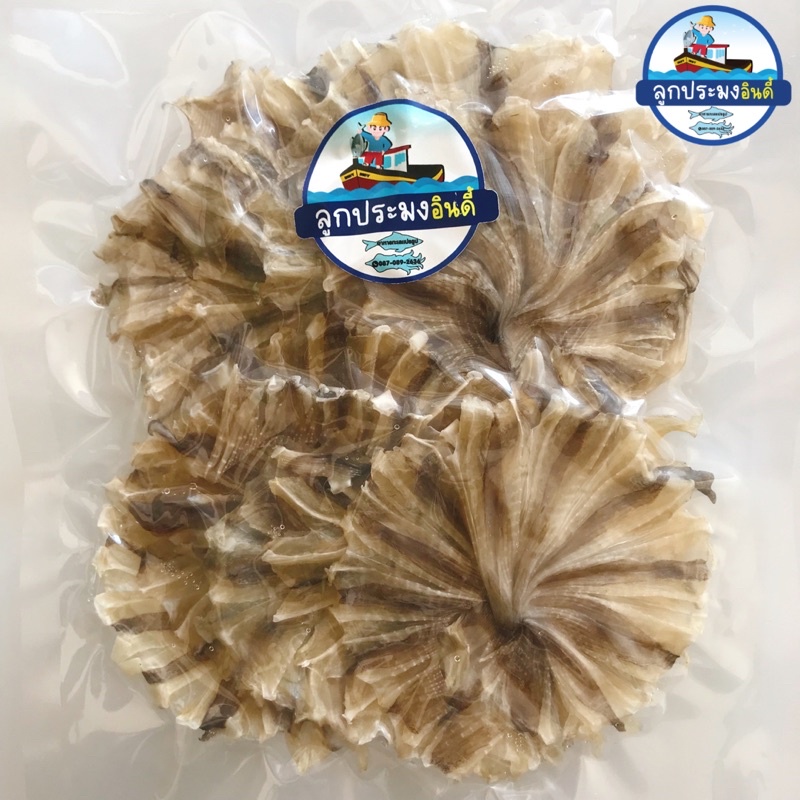 ปลาวง(จิ๋ว) ปลากระเบนวง(จิ๋ว) รสจืด 500g คัดพิเศษ เกรด A ขนาด 3-5 นิ้วต่อวง