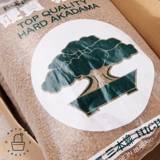 อะคาดามะ ดินญี่ปุ่น AKADAMA SOIL ใช้โรยหน้า กระบองเพชร ไม้อวบน้ำ บอนไซ 1-3mm 3-6mm 500g เกรดพรีเมี่ยม 3แถบ