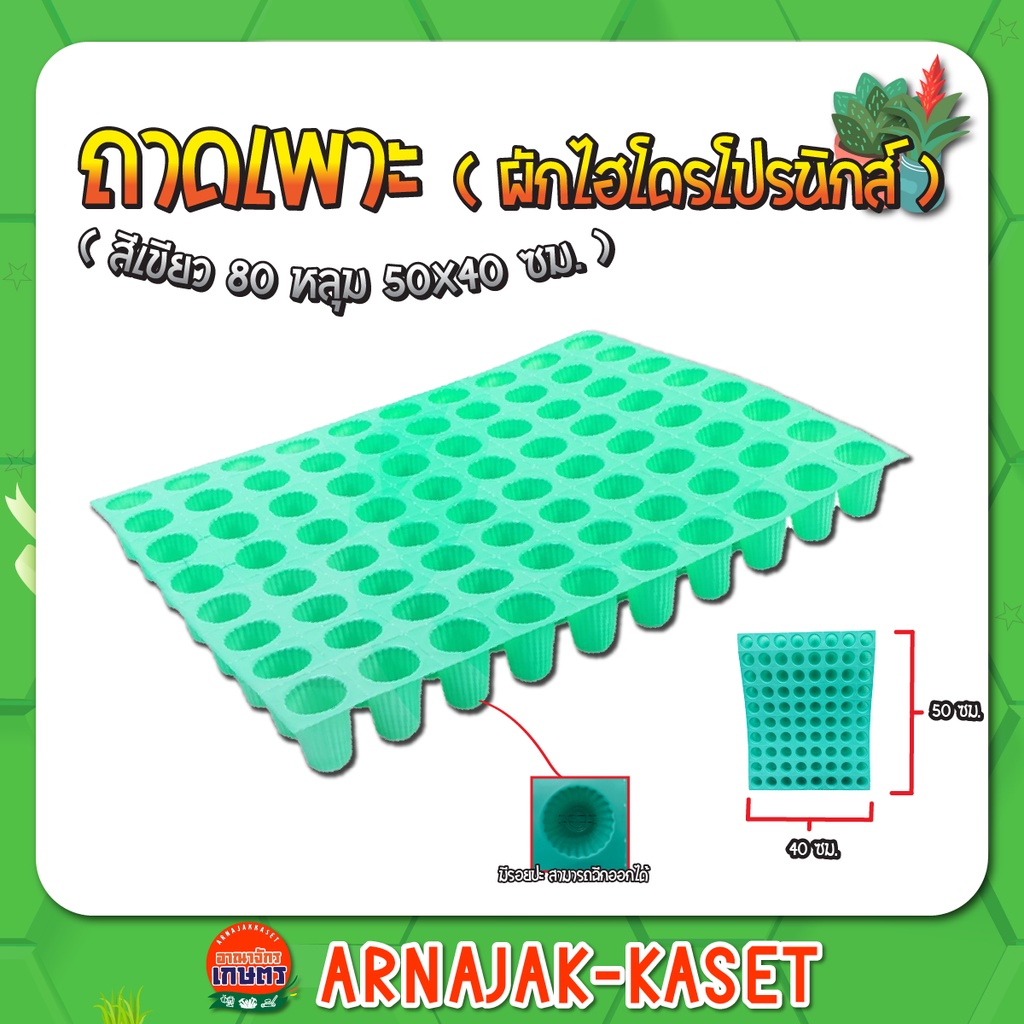 ถาดเพาะชำ  ถ้วยปลูกผักไฮโดรโปนิกส์สีเขียว