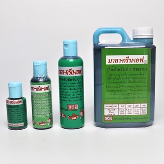 ส่งไว MALA GREEN F 60 120 240 1000 ml. มาลา-กรีน-เอฟ เน่าเปื่อย ตกเลือด จุดขาว White spot disease fin-rot parasite fungi