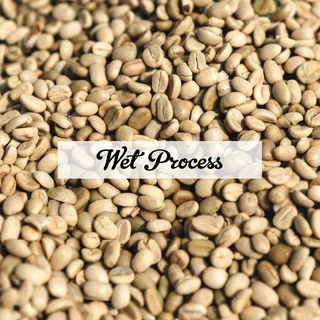 Hillkoff : เมล็ดกาแฟคั่ว อาราบิก้า คั่วเข้ม ฮิลล์คอฟฟ์ (French) Arabica 100% ขนาด 500 g กาแฟ อราบิก้า เมล็ดกาแฟ เม็ดกาแฟ