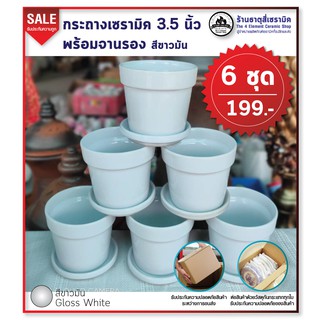 กระถางต้นไม้เซรามิค 3.5 นิ้ว พร้อมจานรอง เคลือบสีขาวมัน 6 ชุด 199