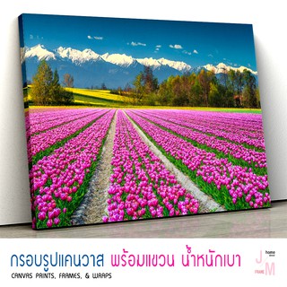 กรอบลอยแคนวาส ภาพแต่งบ้าน รูปติดผนัง ภาพวิวทุ่งดอกทิปลิว ภาพธรรมชาติ C-0074