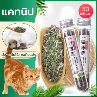 กัญชาแมว แคทนิป Catnip หลอดทดลอง 45ml สมุนไพรสำหรับสัตว์เลี้ยง คลายเครียดให้แมว (ของเล่นแมว (🇹🇭พร้อมส่ง)