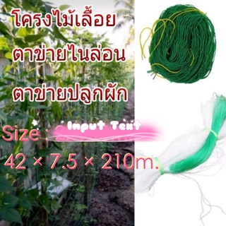 โครงไม้เลื้อย ตาข่ายไนล่อน ตาข่ายปลูกผัก อวนแตง ขนาด 42 × 7.5 × 210m.