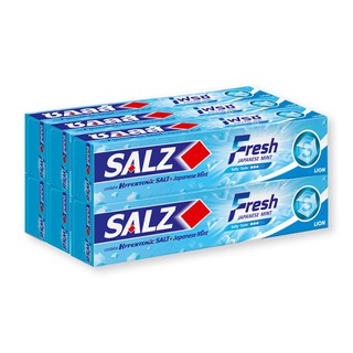 ✨นาทีทอง✨ ซอลส์ ยาสีฟัน สูตรเฟรช แจเปนนิส มิ้นท์ ขนาด 90 กรัม แพ็ค 6 กล่อง Salz Fresh Toothpaste 90 g x 6